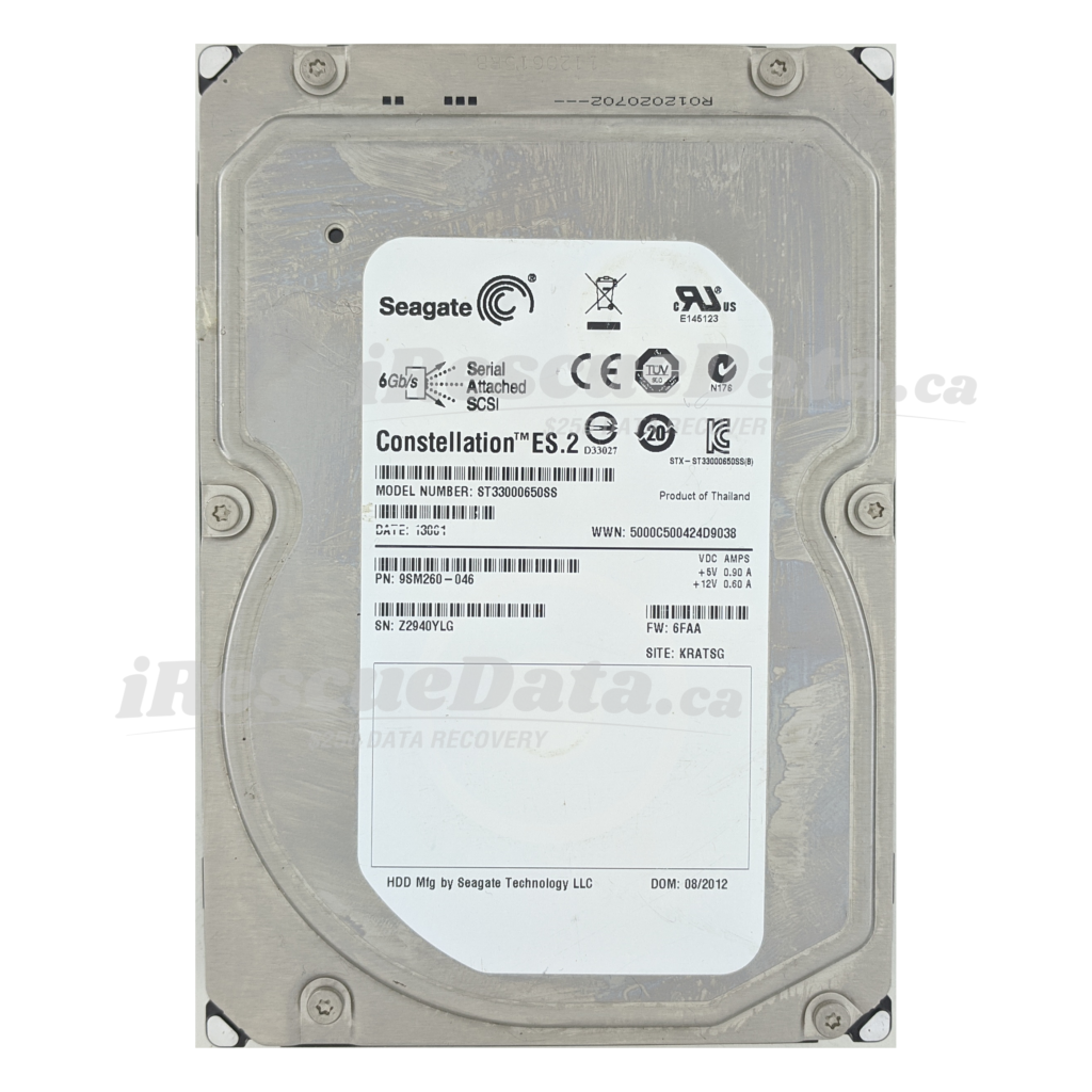 Seagate DKS2D-H3R0SS Z2940YLG