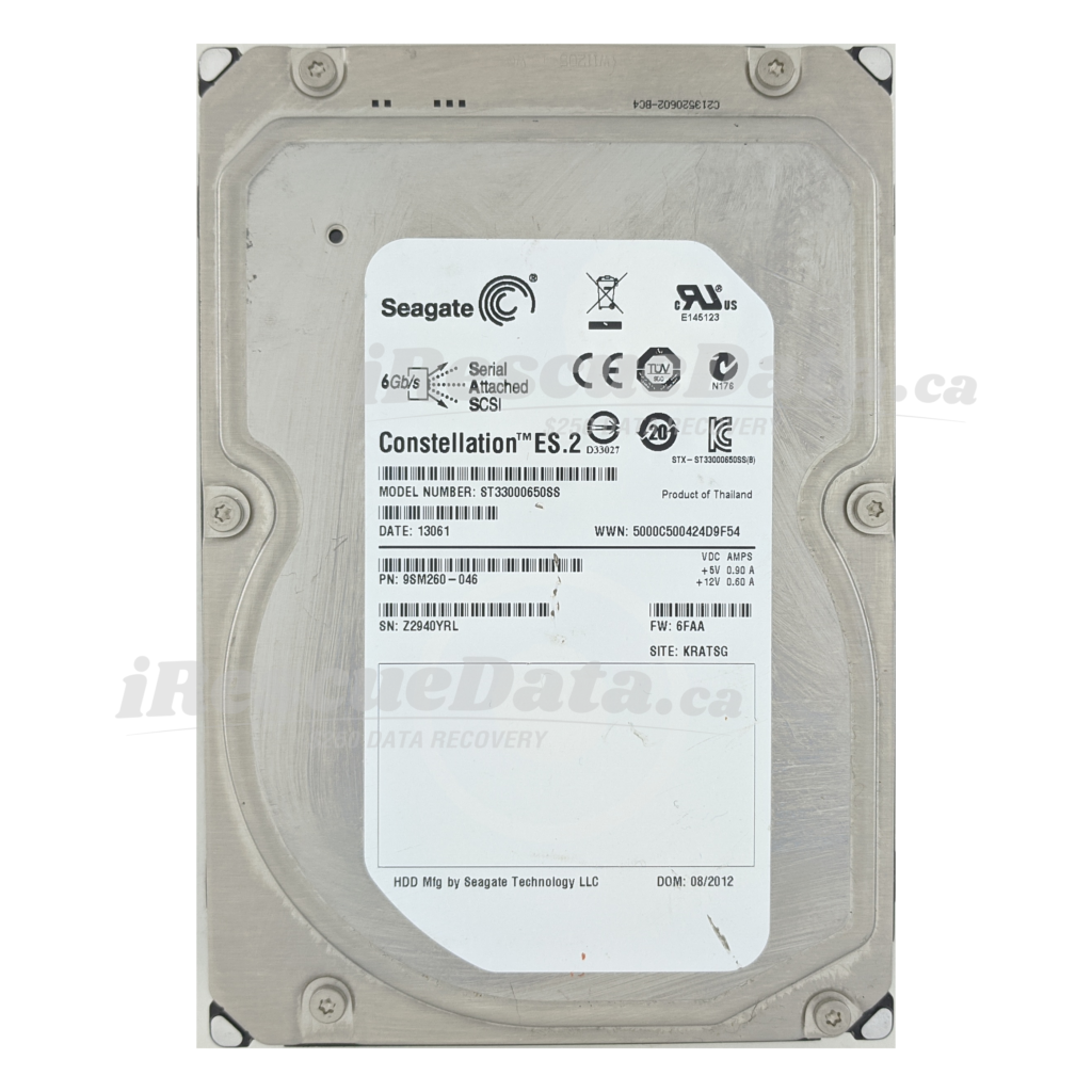 Seagate DKS2D-H3R0SS Z2940YRL
