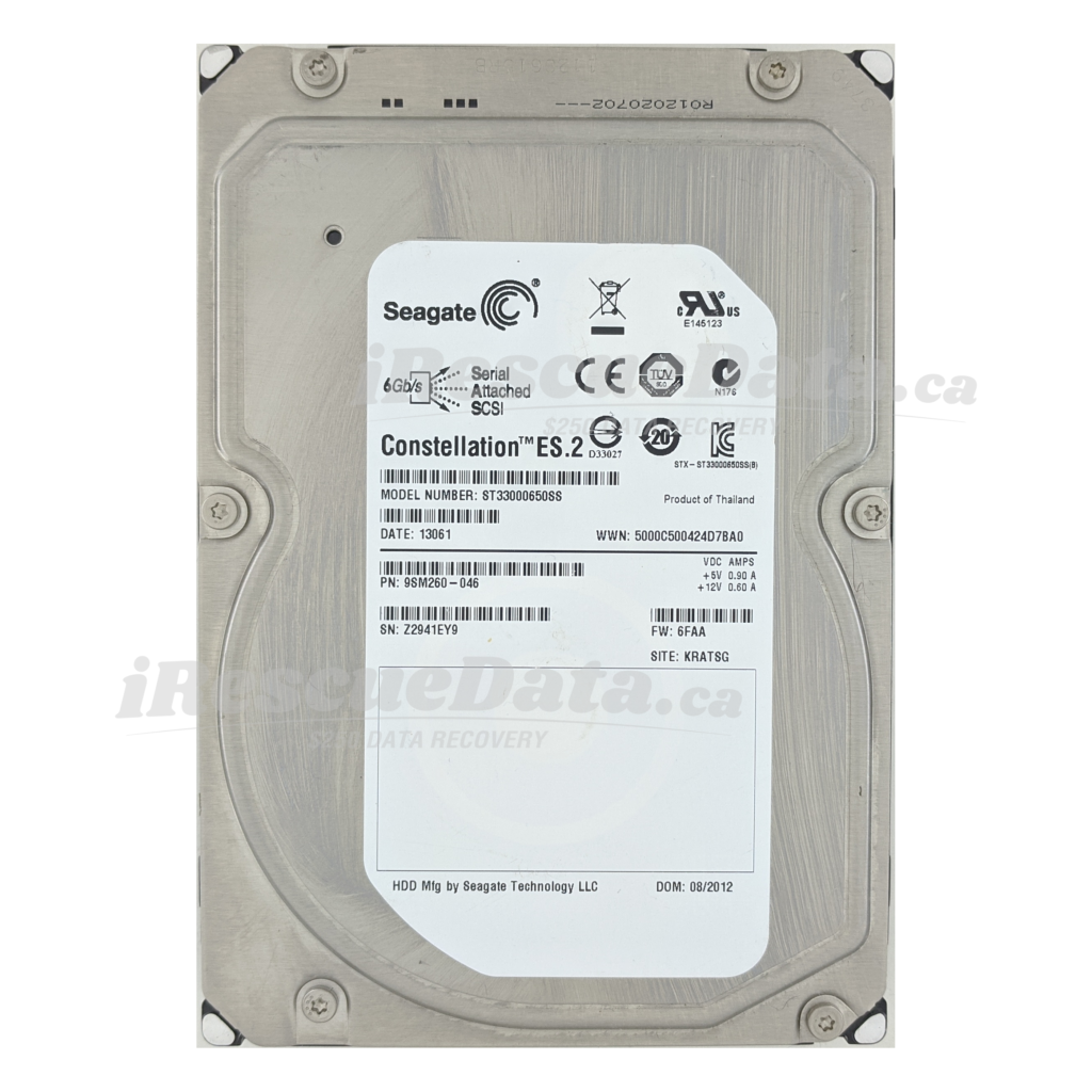 Seagate DKS2D-H3R0SS Z2941EY9