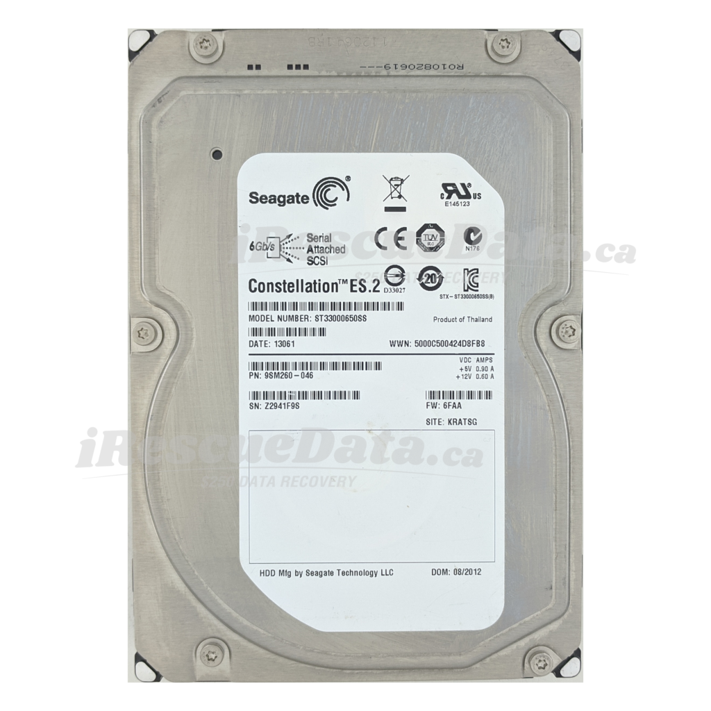 Seagate DKS2D-H3R0SS Z2941F9S
