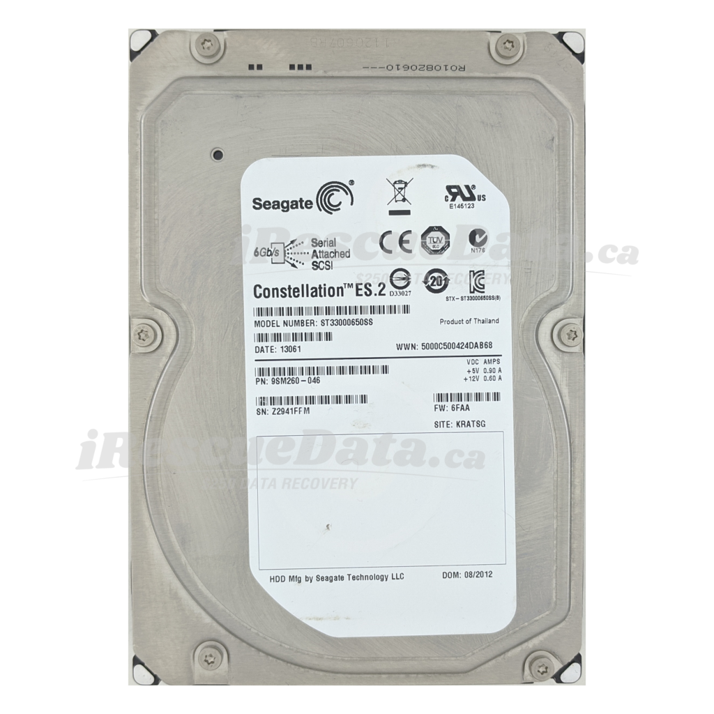Seagate DKS2D-H3R0SS Z2941FPM