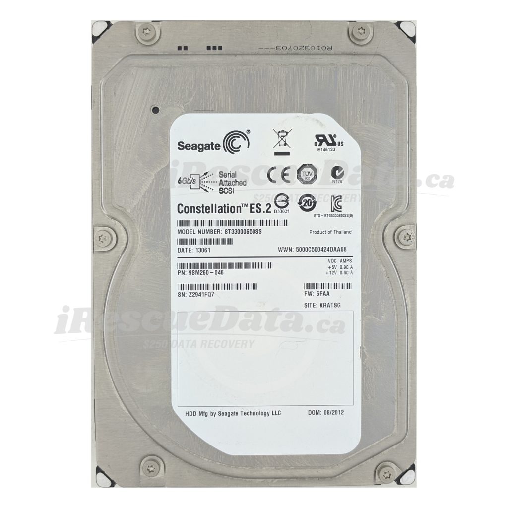 Seagate DKS2D-H3R0SS Z2941FQ7