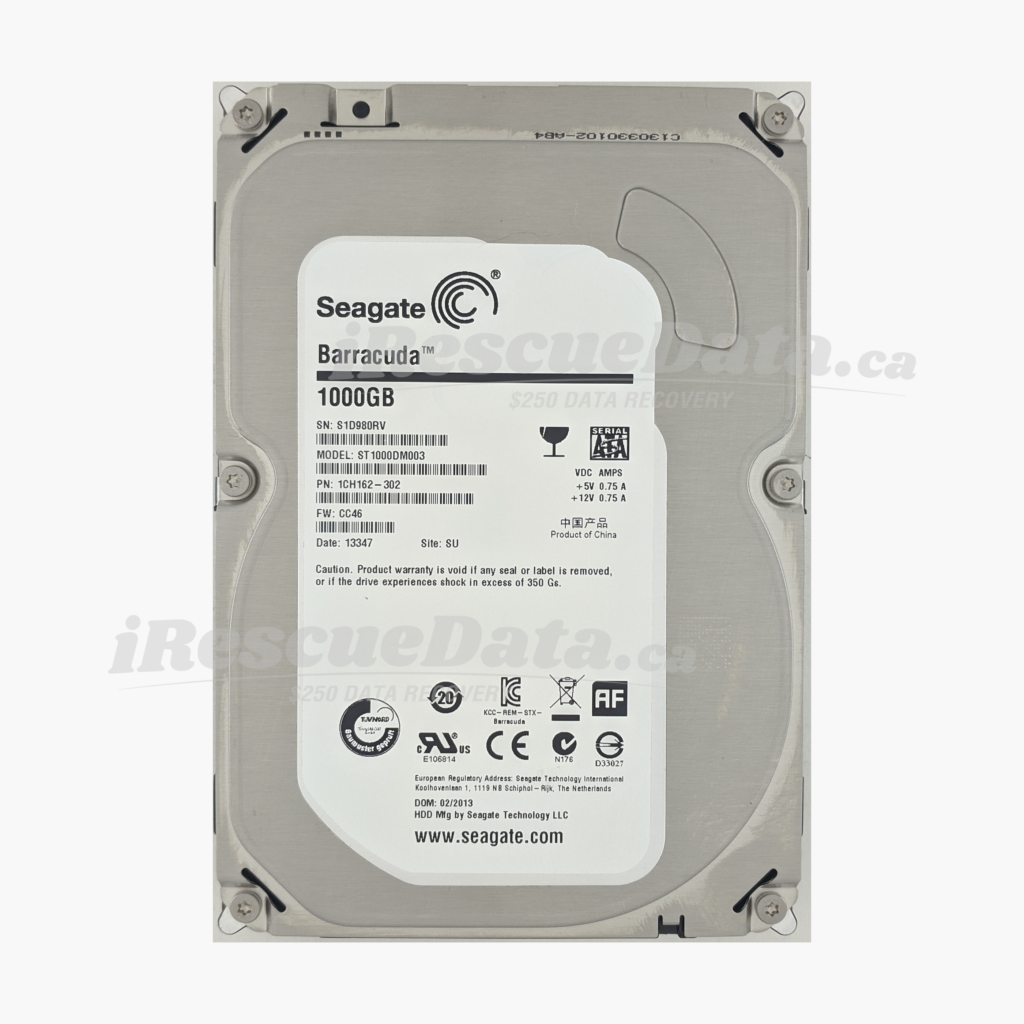 Seagate ST1000DM003-1CH162 S1D980RV