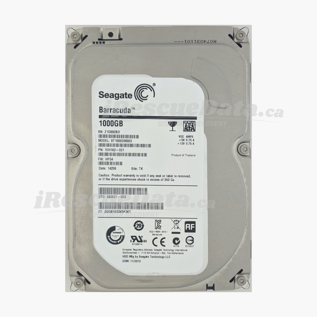 Seagate ST1000DM003-1CH162 Z1D892BD