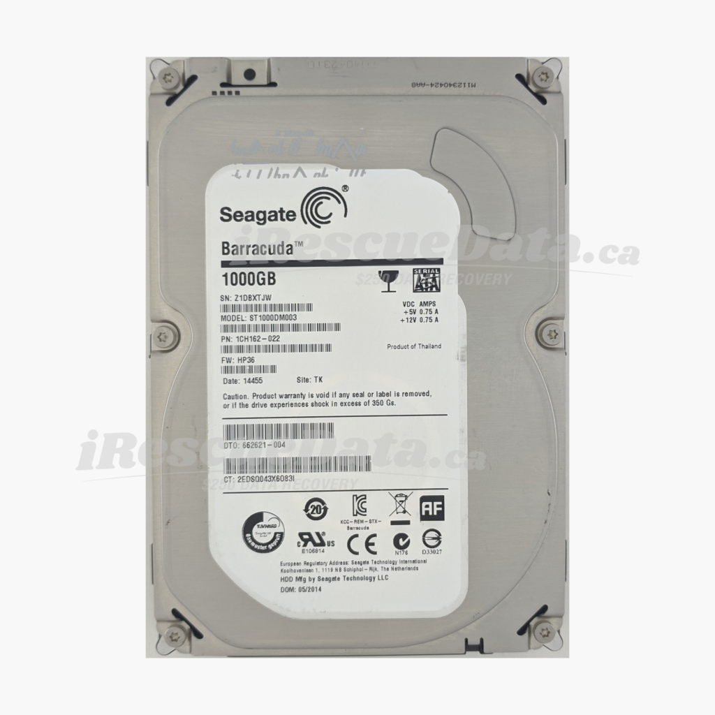 Seagate ST1000DM003-1CH162 Z1DBXTJW