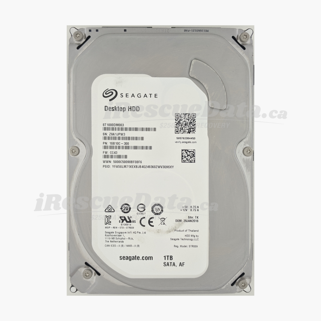 Seagate ST1000DM003-1SB10C Z9A1JPW3