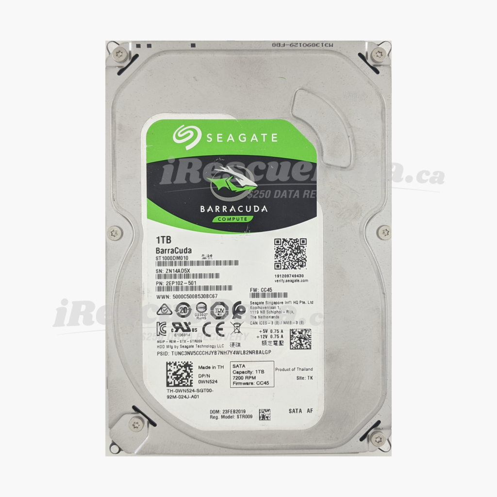 Seagate ST1000DM010-2EP102 ZN14AD5X