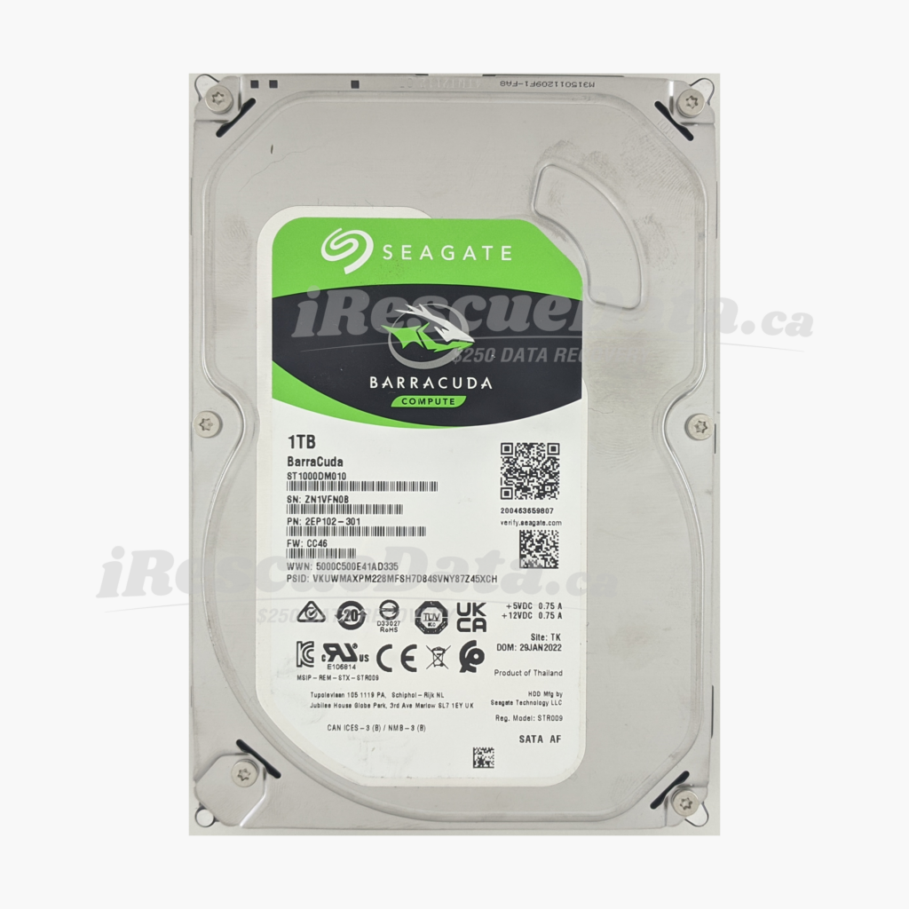 Seagate ST1000DM010-2EP102 ZN1VFN0B
