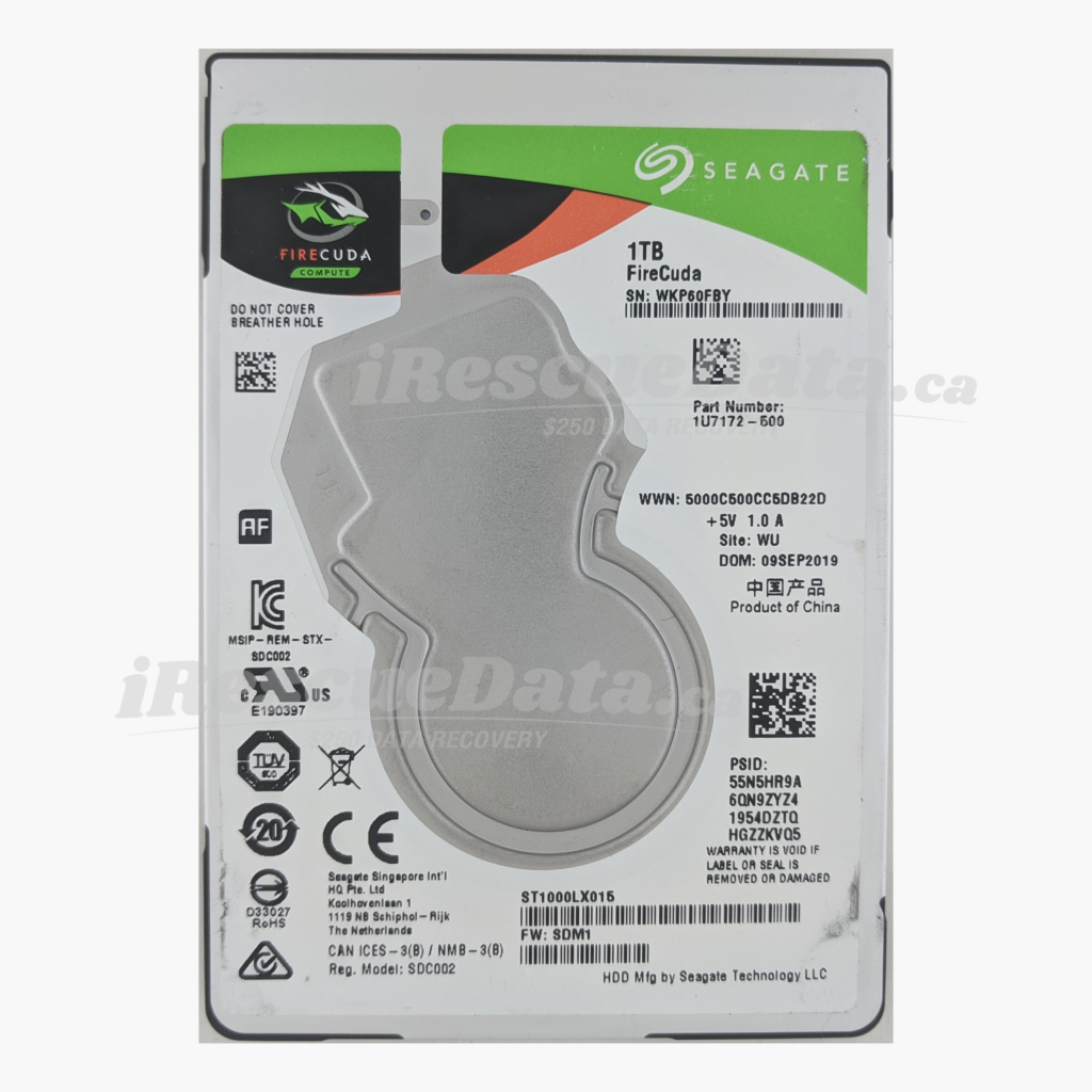 Seagate ST1000LX015-1U7172 WKP60FBY