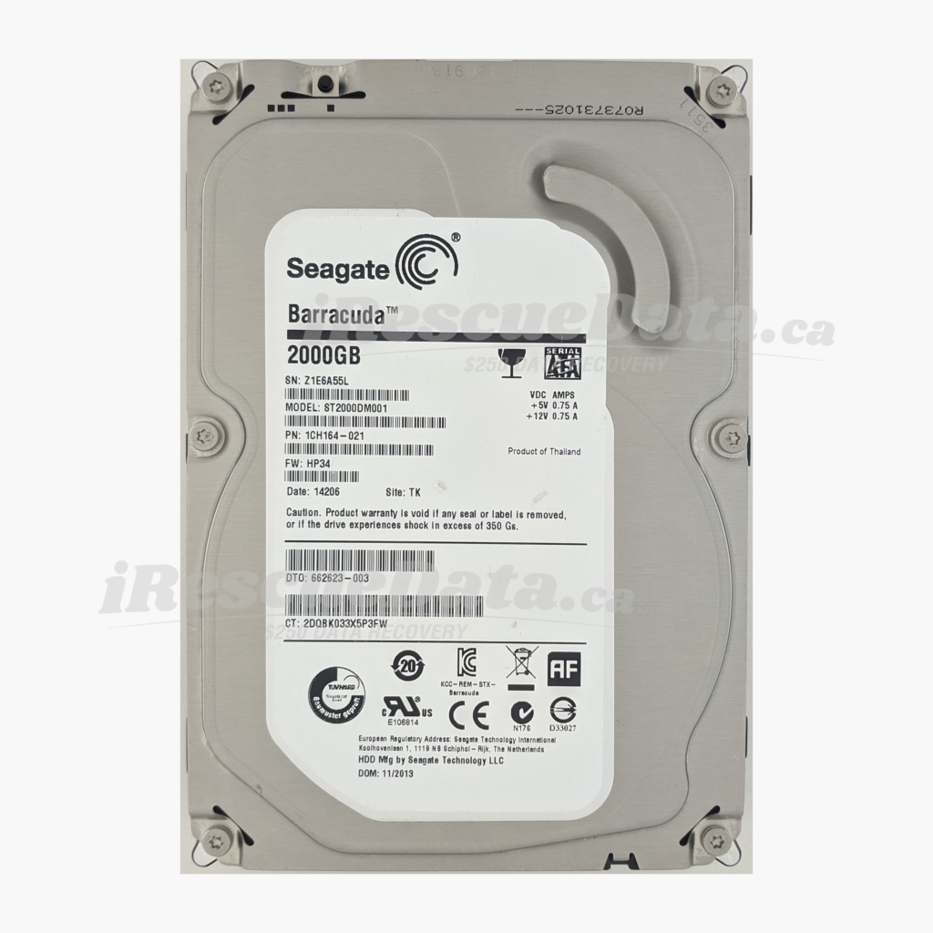 Seagate ST2000DM001-1CH164 Z1E6A55L