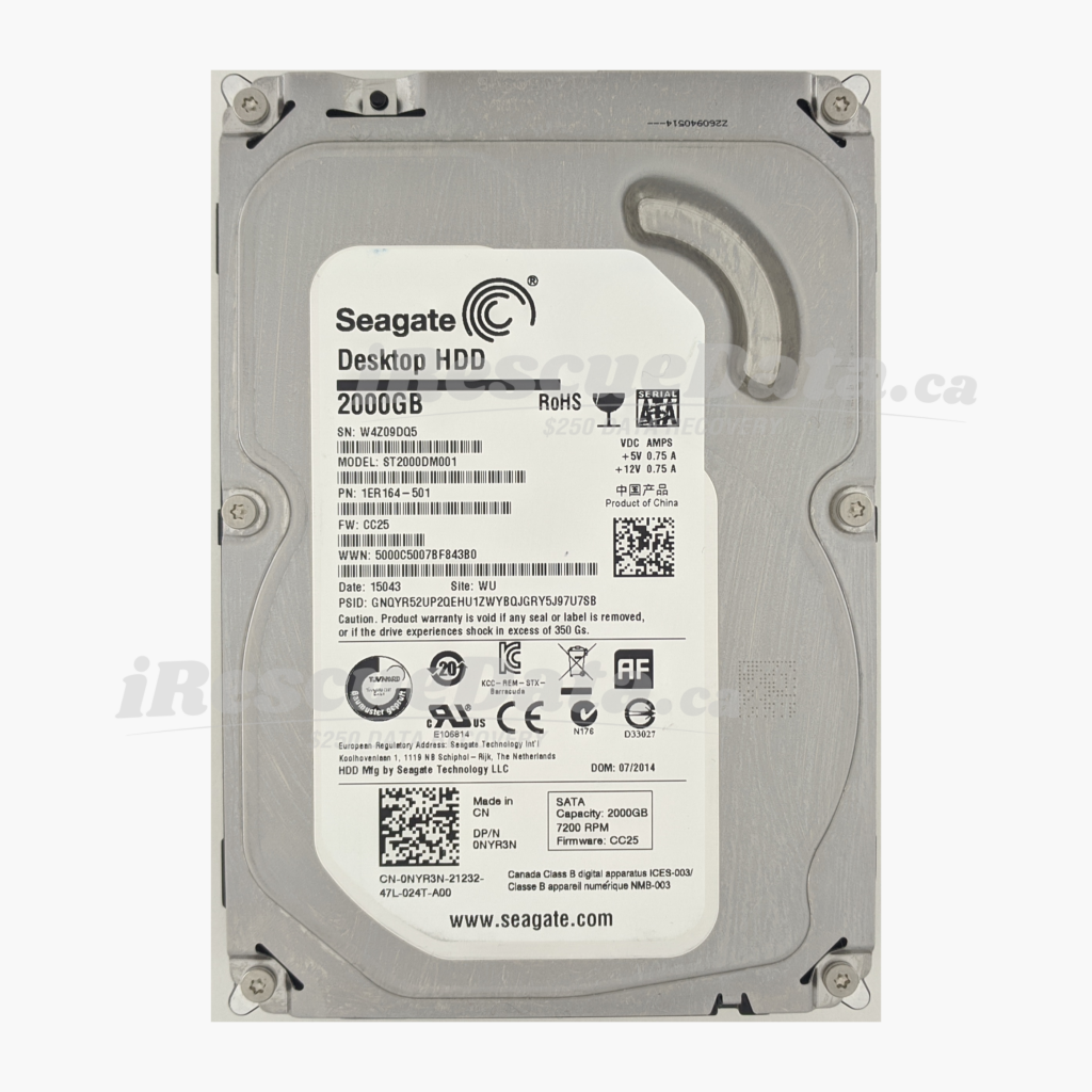 Seagate ST2000DM001-1ER164 W4Z09DQ5