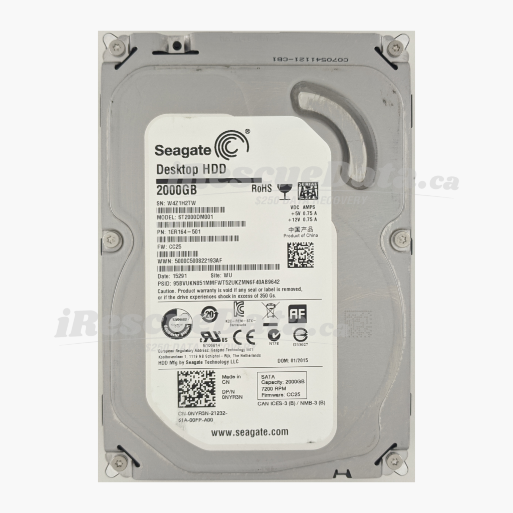 Seagate ST2000DM001-1ER164 W4Z1H2TW