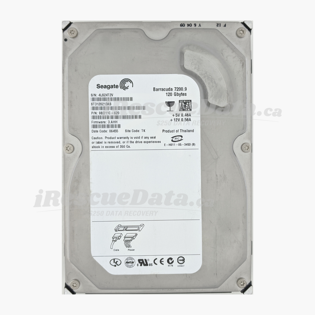 Seagate ST3120213AS 4LS24T2V