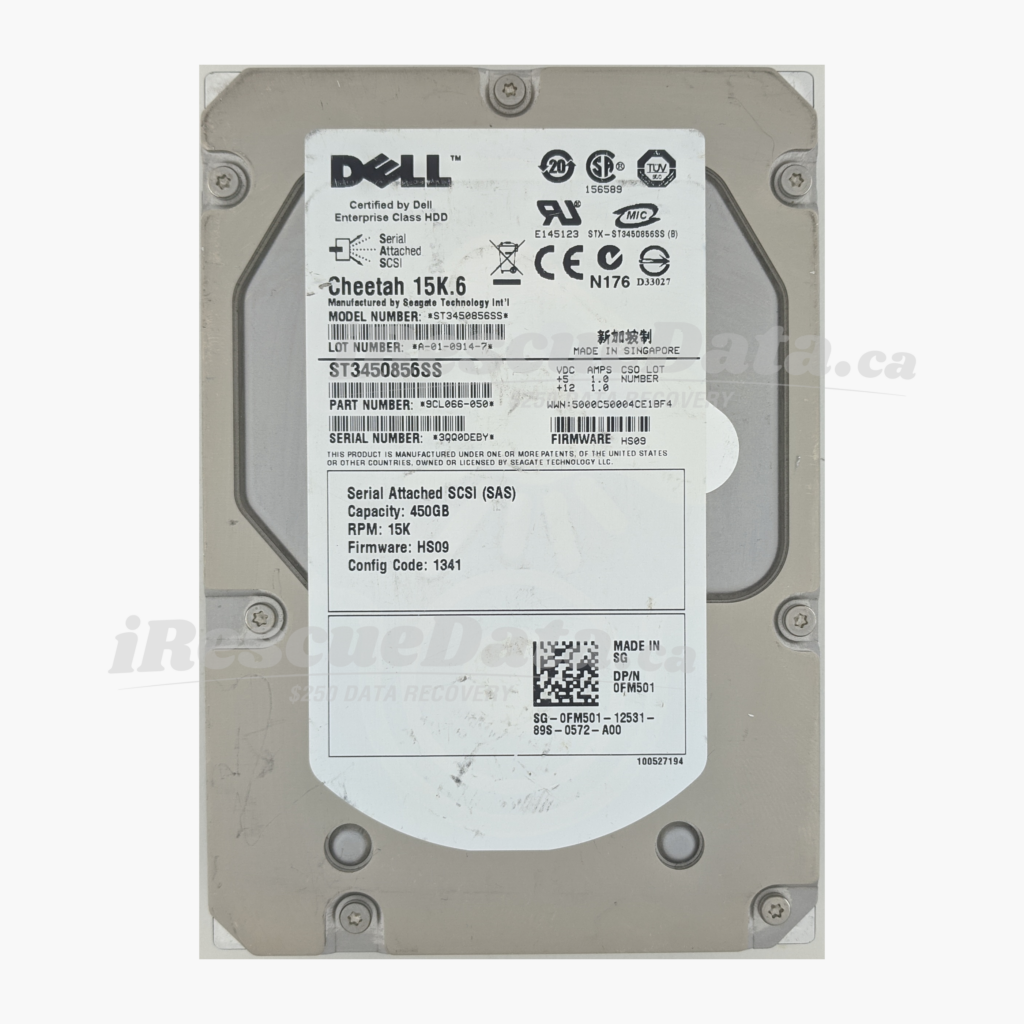 Seagate ST3450856SS 3QQ0DEBY
