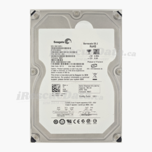 Seagate ST3750330NS 9QK1HDFJ