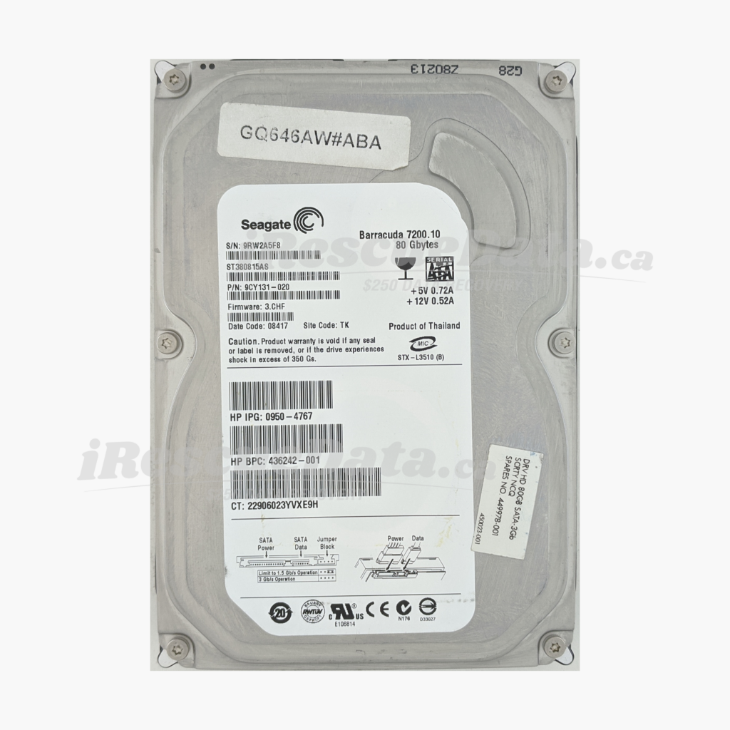 Seagate ST380815AS 9RW2A5F8