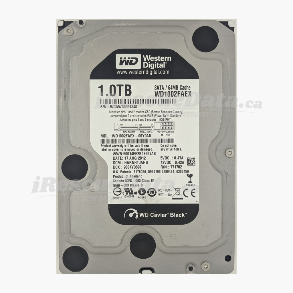 WD WD1002FAEX-00Y9A0 WCAW33997340