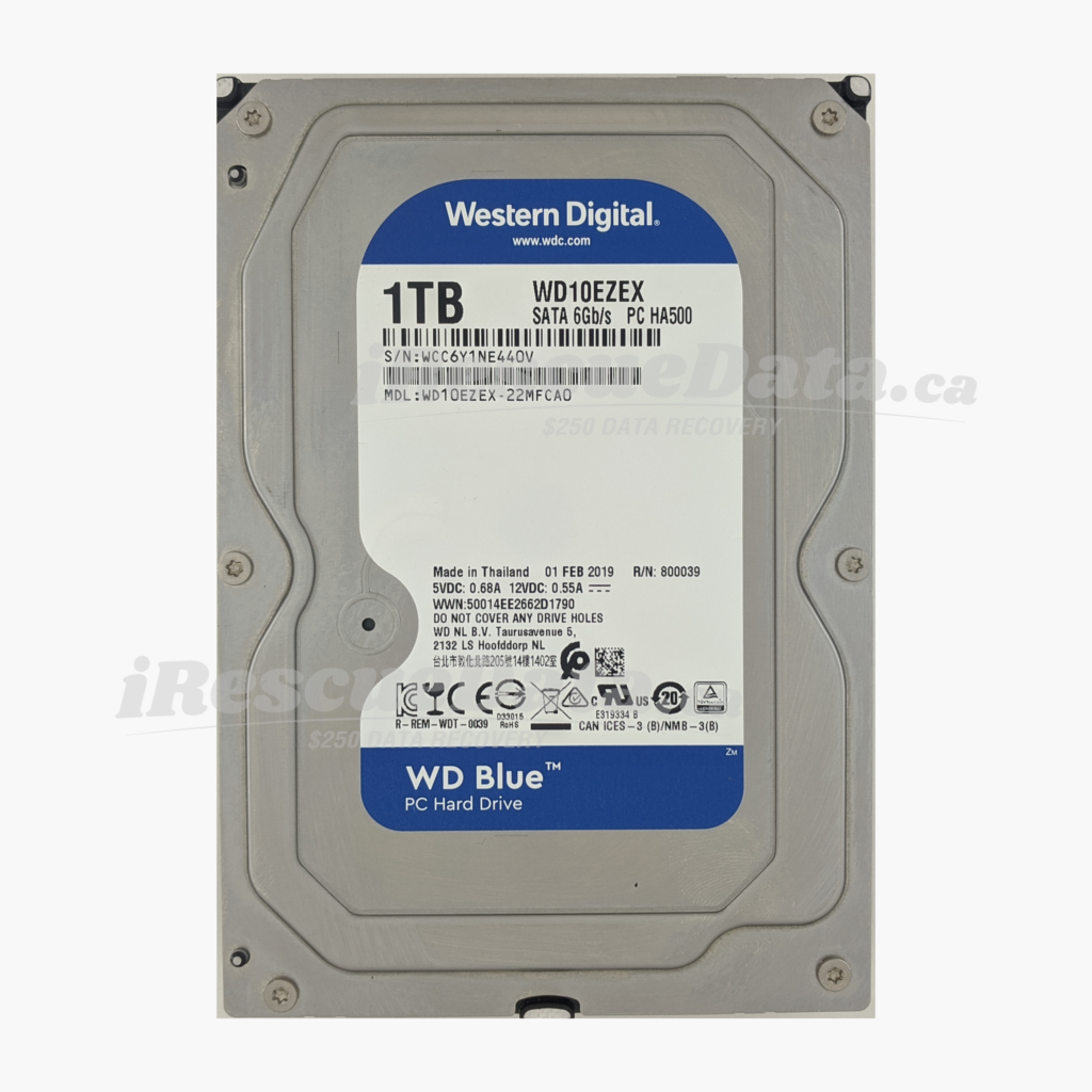 WD WD10EZEX-22MFCA0 WCC6Y1NE440V