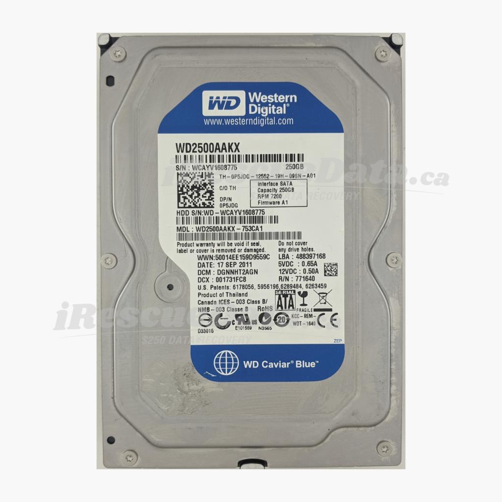 WD WD2500AAKX-753CA1 WCAYV1608775