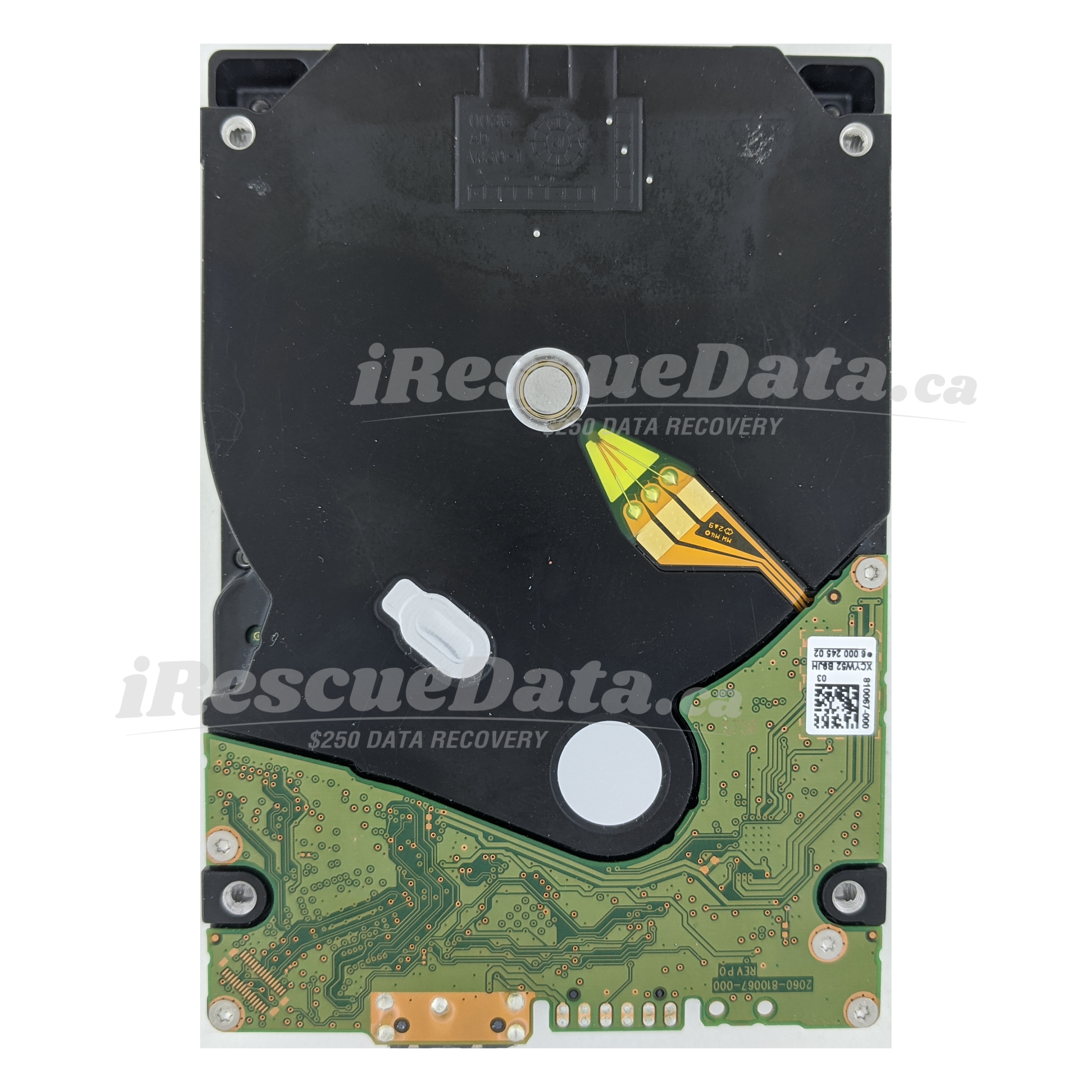 WD WD50NDZW-11BHVS1 WX12D220EVT8 - Image 2