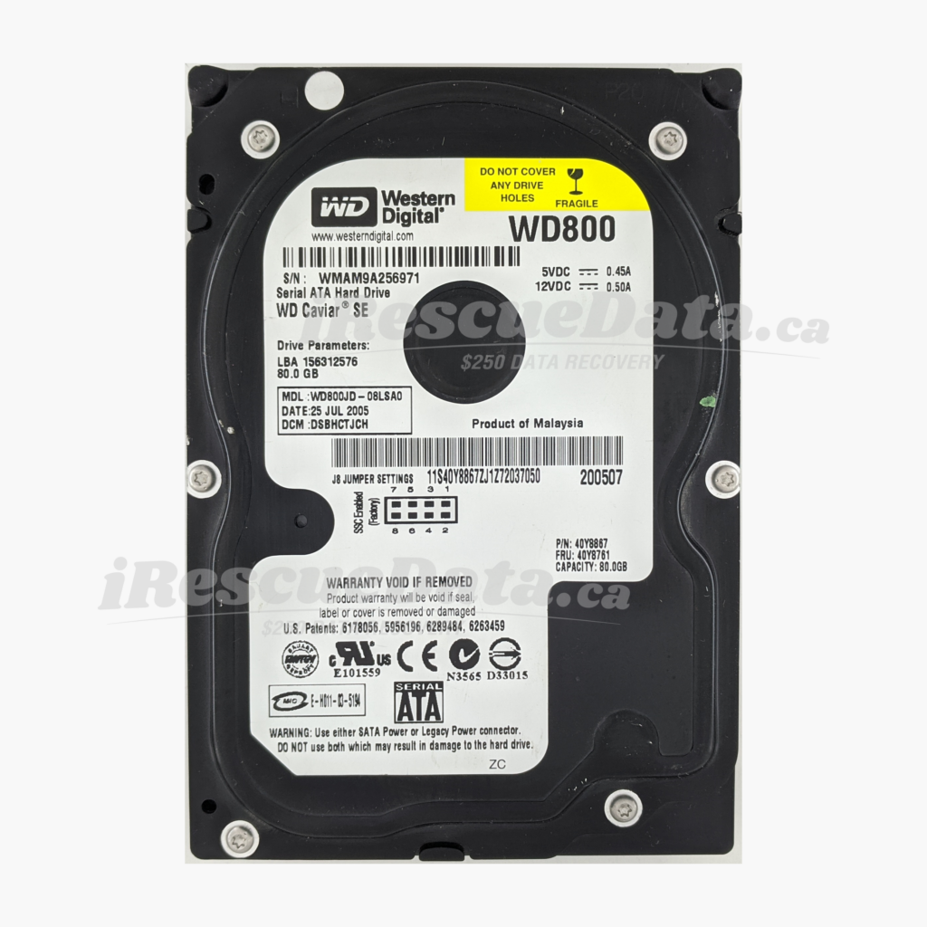 WD WD800JD-08LSA0 WMAM9A256971